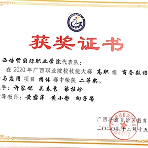 我院市場營銷專業代表隊獲2020年廣西職業院校技能大賽高職組商務數據分析二等獎